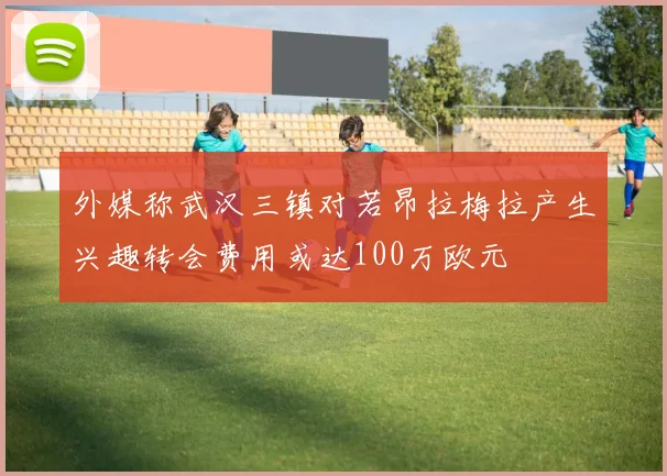 外媒称武汉三镇对若昂拉梅拉产生兴趣转会费用或达100万欧元