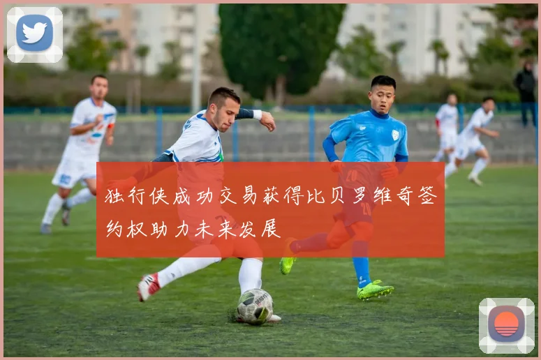 独行侠成功交易获得比贝罗维奇签约权助力未来发展